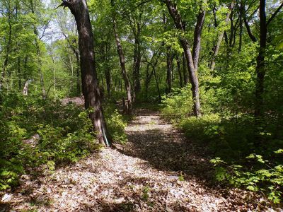 0 State Highway 29 N, Alexandria, MN, 56308