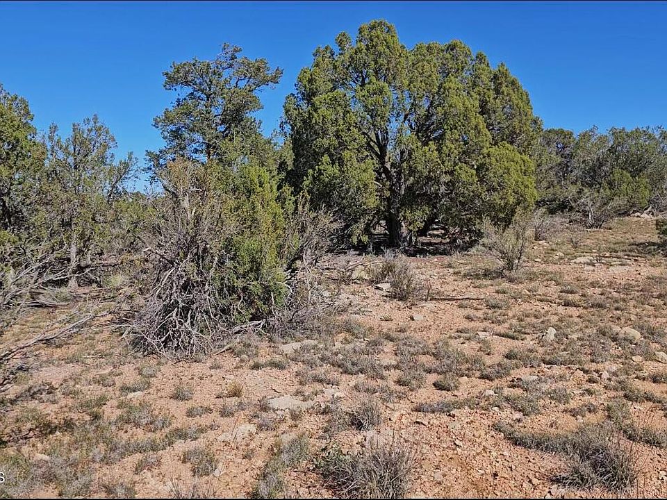 1st image of 54913 N Echo Ln