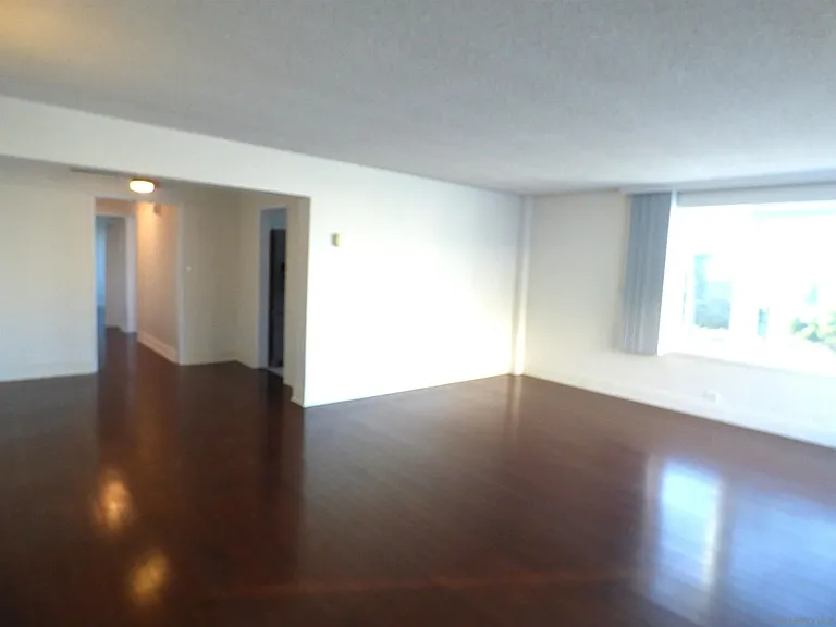 8040 Girard Ave #5 — Photo 15