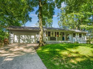 112 Birchwood Ln, Cadillac, MI 49601