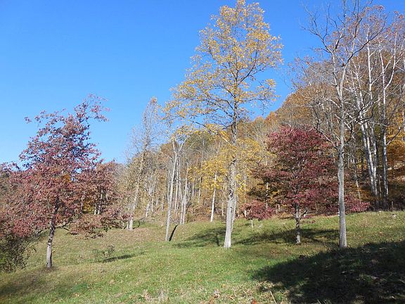 69th image of this home