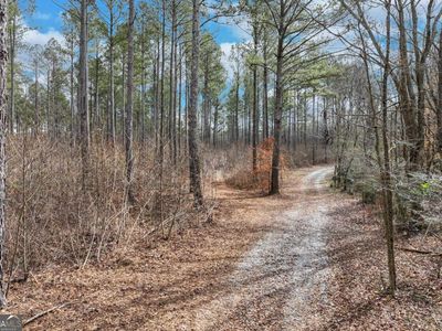 1435 Hargrove Lake Rd, Winterville, GA, 30683