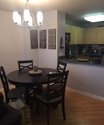 4th image of 222 E Pearson St APT 1903