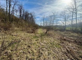 585 Colt Run, Spencer, WV 25276