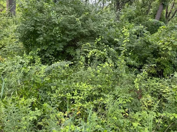 10 Chateau Dr, West Dundee, IL 60118