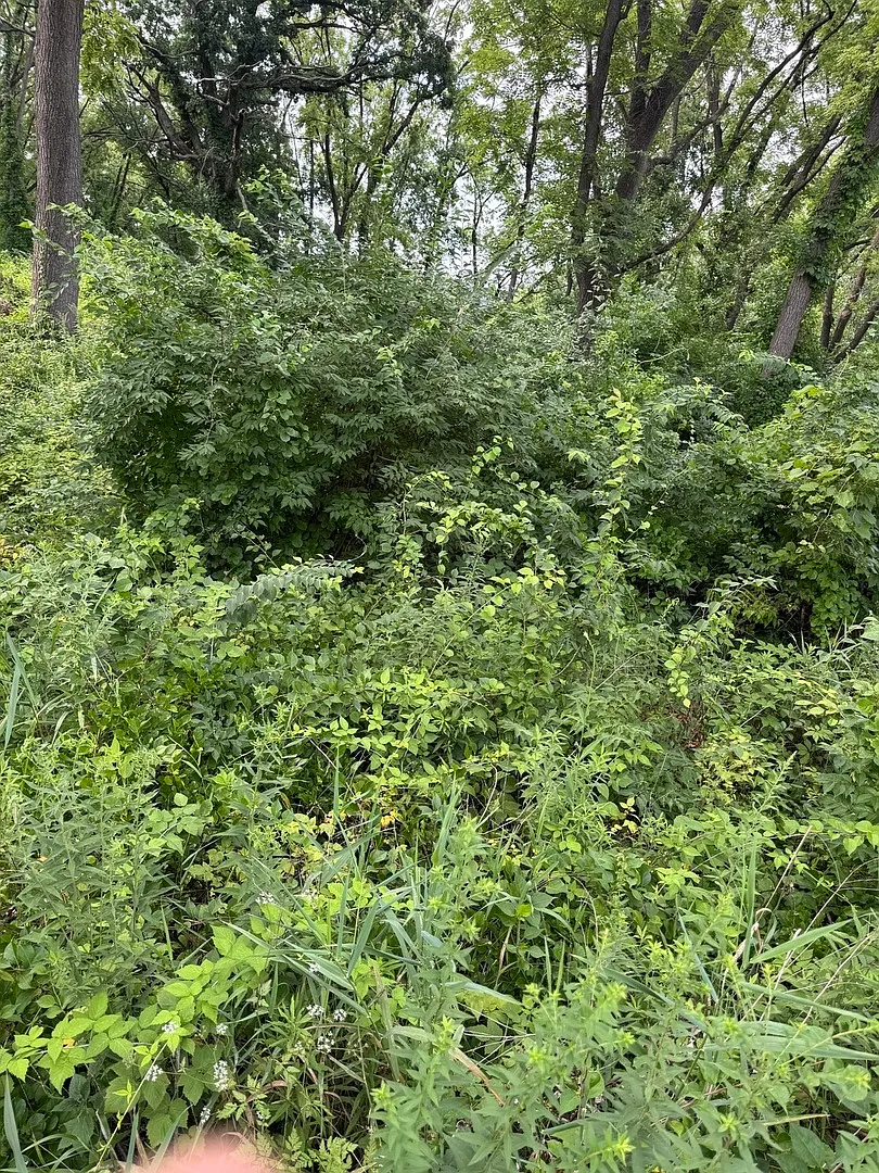 10 Chateau Dr photo 1