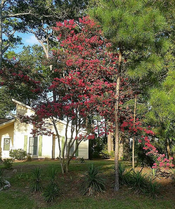 1st image of 3621 E Hedrick Dr