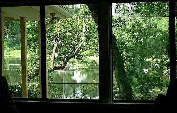 view of lake from living room