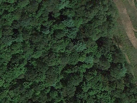 2nd image of 14488 State Hwy 198