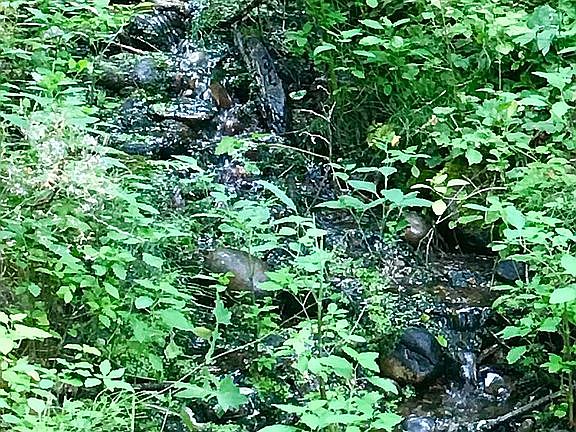 YEAR ROUND RUNNING WATER 