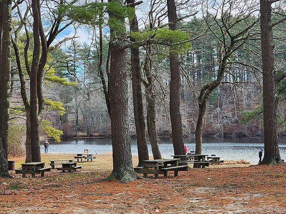 4th image of 28 Little Pond Rd