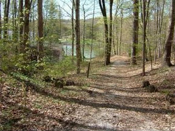 5th image of 00 Blue Heron Drive