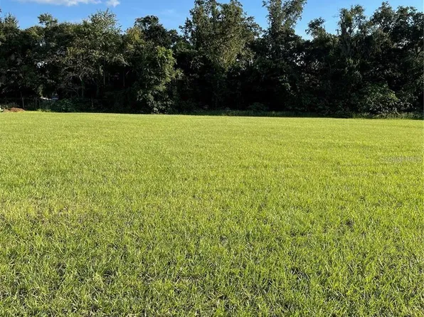 12705 MCINTOSH GROVES LANE, THONOTOSASSA, FL 33592