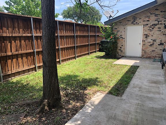 Back yard