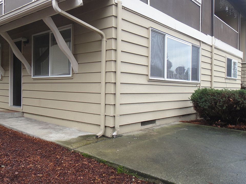 Patio and side door