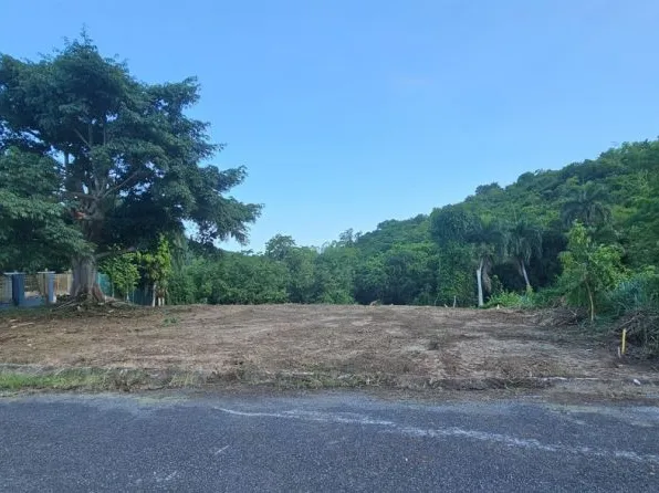 Urb, Guayama, PR 00784