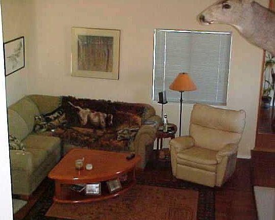 2nd image of 30 Date Palm Dr