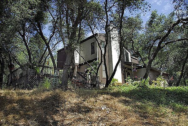 Privacy Among the trees