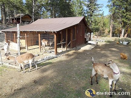 Chicken and goat barn