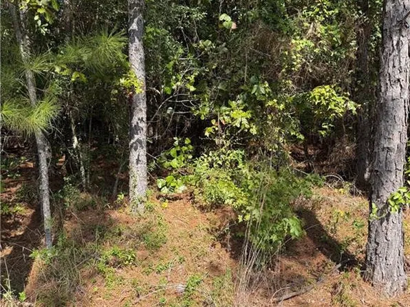 223 Wainwright Rd, Pineville, LA 71360