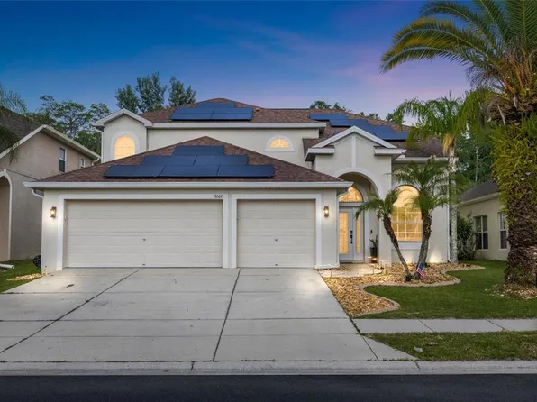 3602 Morgans Bluff Ct, Land O Lakes, FL 34639