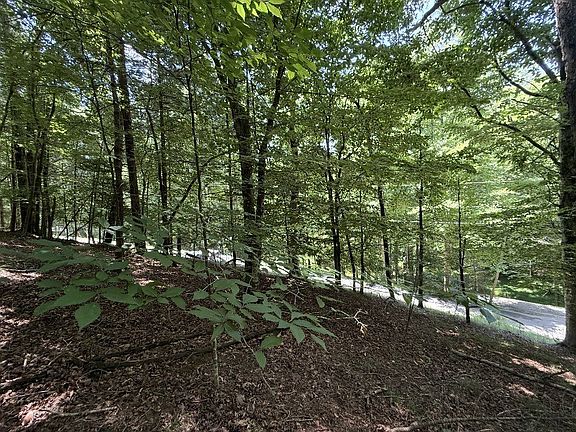 4th image of LOT 3469 Fir Ln