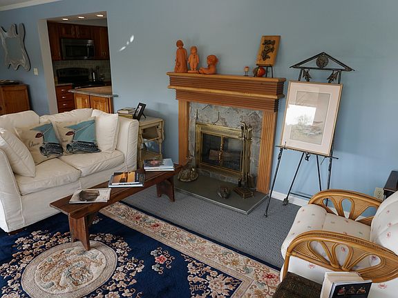 Fireplace in the living room