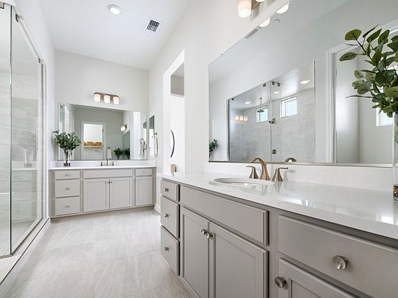 Owner s suite bathroom - model representation