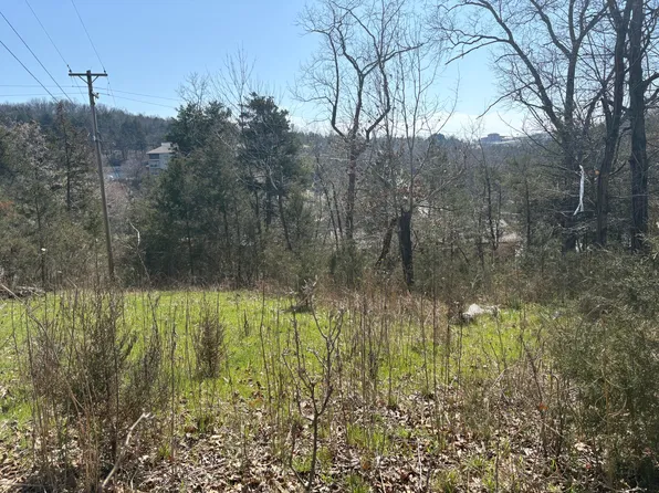 180 Green Briar Drive, Branson, MO 65616