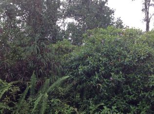 Silveroak Dr LOT 26, Pahoa, HI 96778