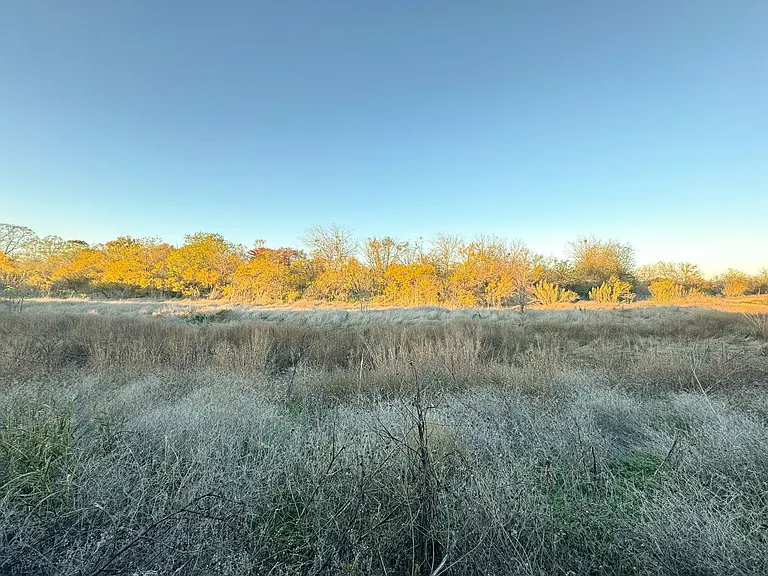 366 Silver Springs Bnd — Photo 18