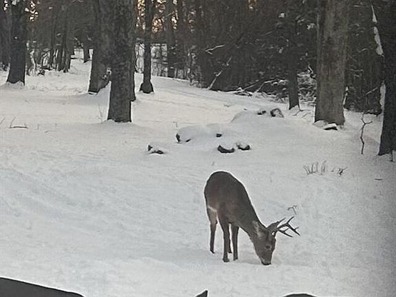 2nd image of 0 Turkey Foot Rd