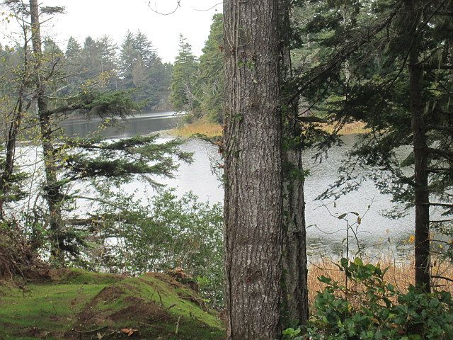 RARE BRADLEY LAKE ACREAGE 
