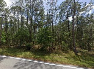 Poyner Oaks Rd N, Polk city, FL 33868