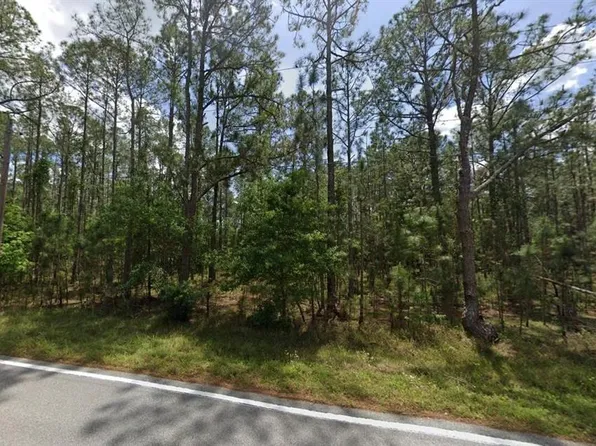 Poyner Oaks Rd N, Polk City, FL 33868