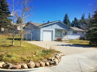 1105 Mount Massive Dr, Leadville, CO 80461