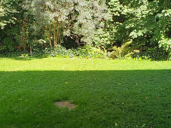 No rear neighbors just wooded area.