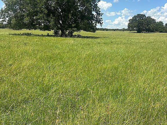 2nd image of 11500 Fm 974