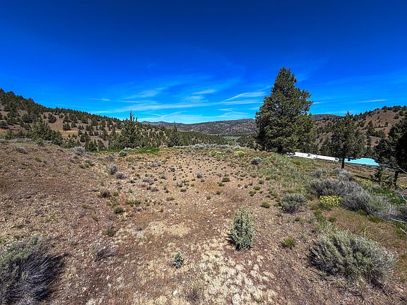 2nd image of Luce Creek Rd
