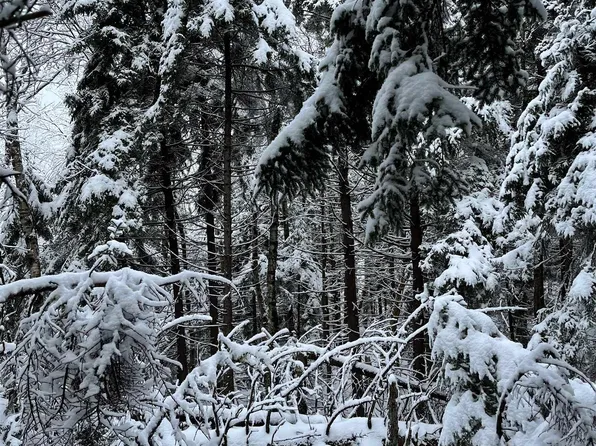 Map 232 Lot 1 Locke Lane, Lempster, NH 03605
