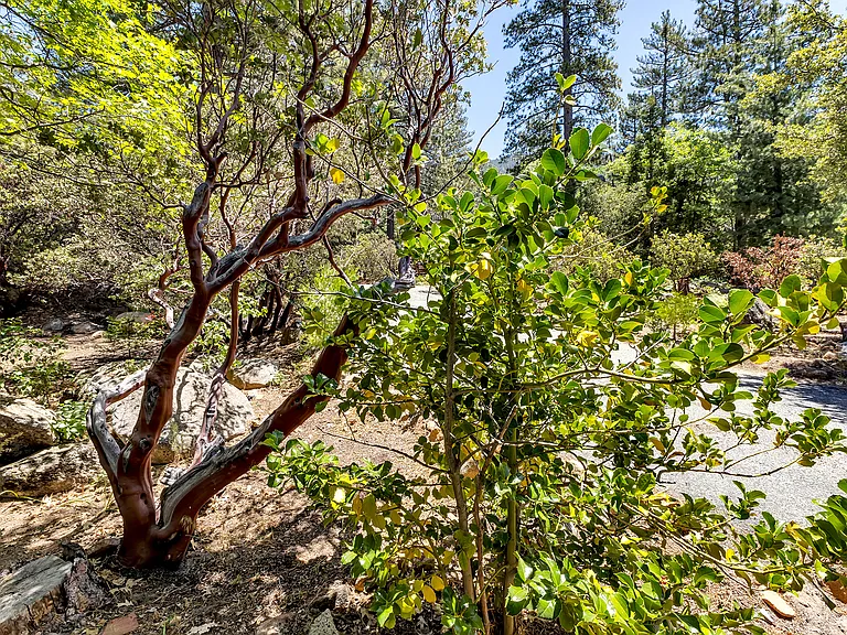 25465 Seneca Dr — Photo 65