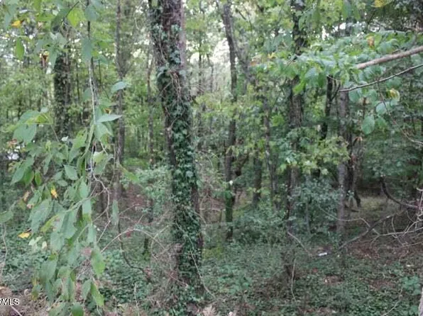 Highland Dr, Kingston, TN 37763