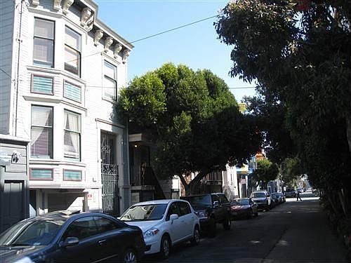 3rd image of 432 Ivy St