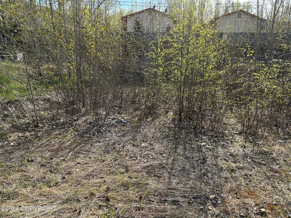 115 Grand Larry St, Anchorage, AK 99504