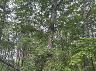 3C Loop Rd, Williamsburg, KY 40769