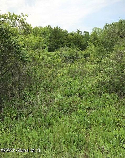 4th image of 460 Town Line Road