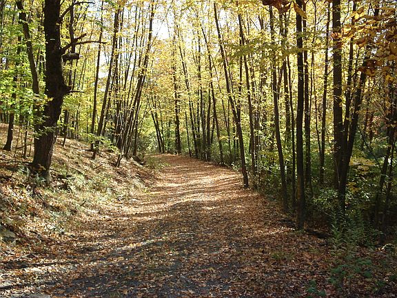 driveway from Medaugh Road