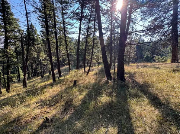 93 Saddle Mountain Dr, Clancy, MT 59634