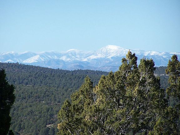 Patio alpine view--Gila N.F.
