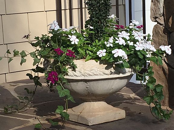 Bluestone front/back porch